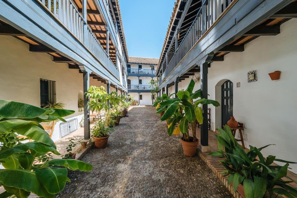 New Apartment In Traditional Building Of The XVI Century เซบีญา ภายนอก รูปภาพ